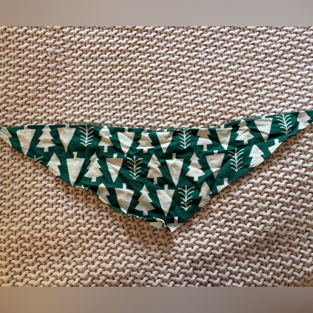 Hanna Andersson Pet Bandana